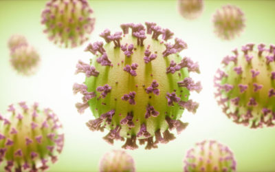 How Coronavirus is Upending Ivy League Admissions