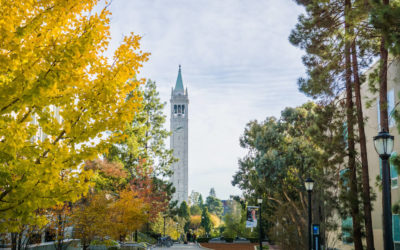 Enrollment Freeze Looms at Berkeley