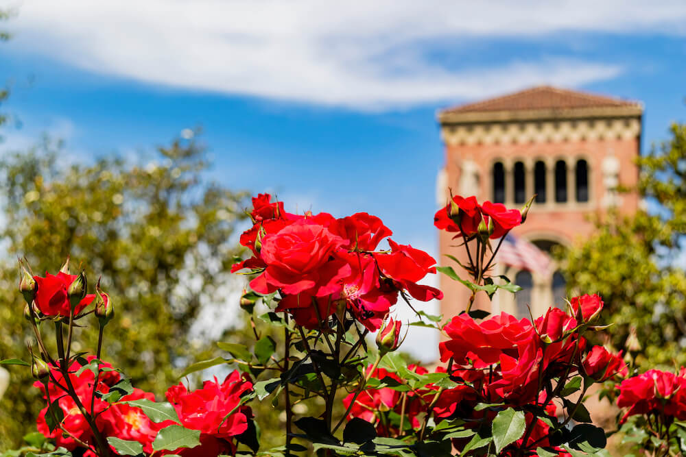 Sunny view of the campus of the University of Southern California