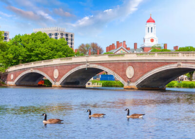 Desperate NYC parents spending millions, lying, moving across the country to get kids into Ivy League