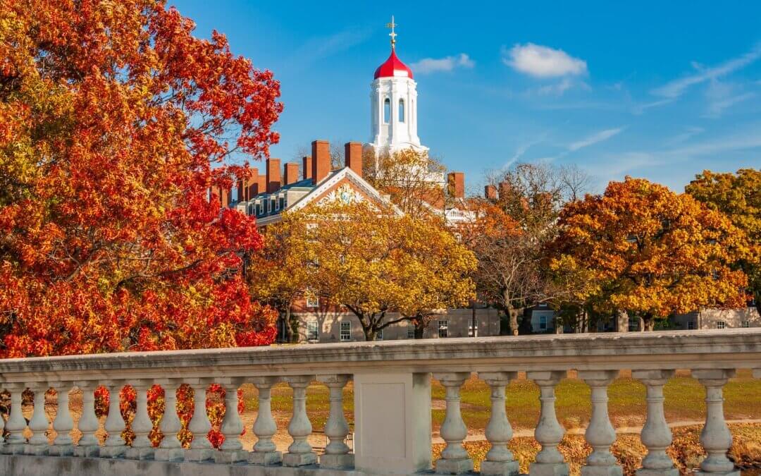 Harvard Bound: Strategies That Propel Students Past Admissions Hurdles