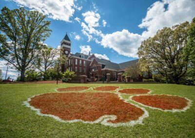 Students are rejecting elite colleges like Columbia and Yale to attend southern schools like Clemson