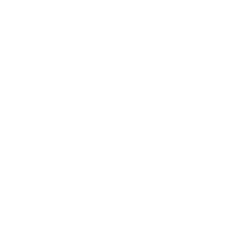 Icon_Testing