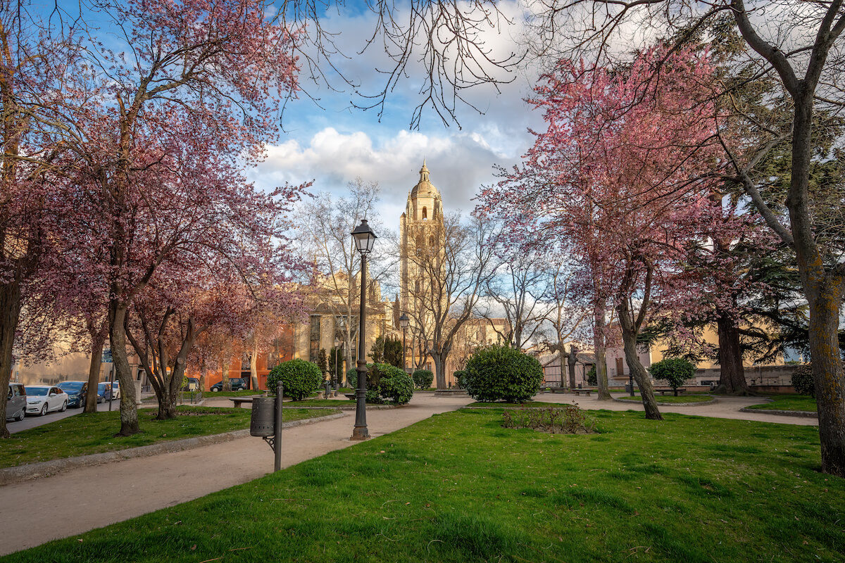 Cornell admissions question and answer with a Command Education Senior Mentor