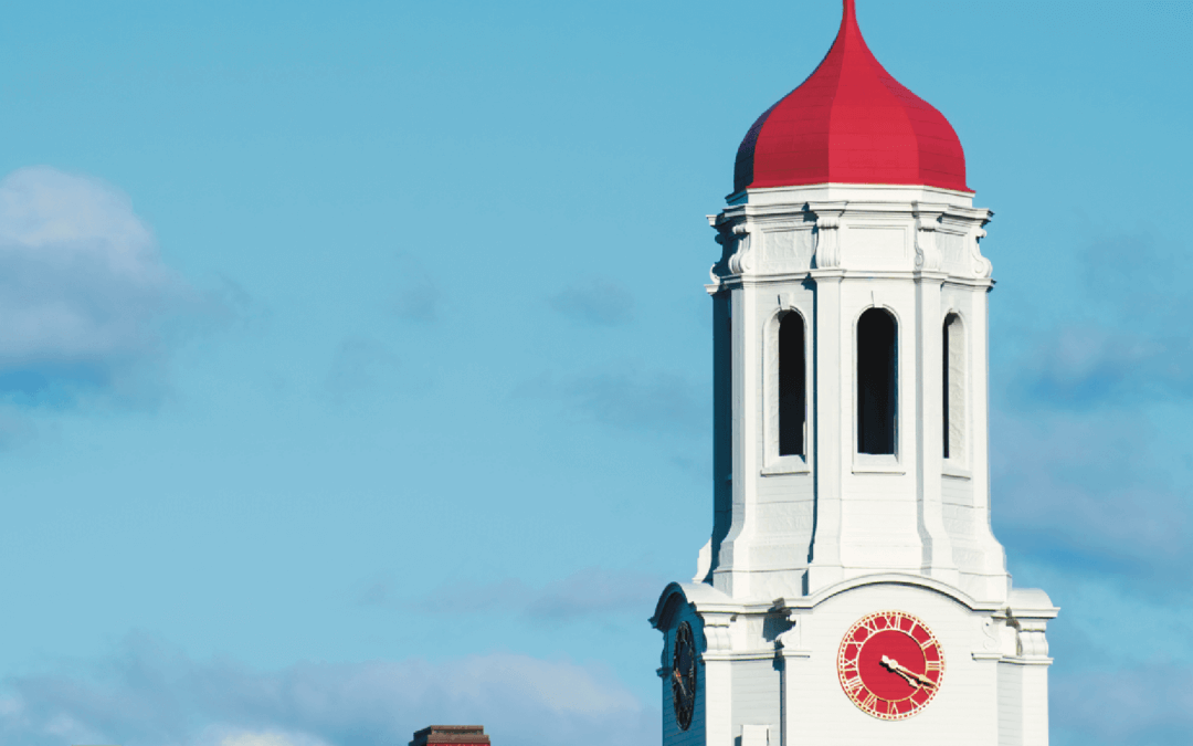 Harvard’s Foreign Students Are Stunned and Devastated by Trump’s Ban