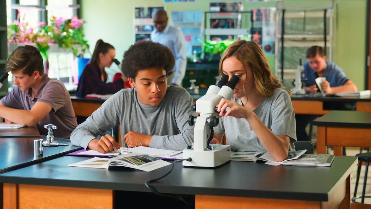 Q&A with Ellen: How to Stand Out as a PreMed Applicant