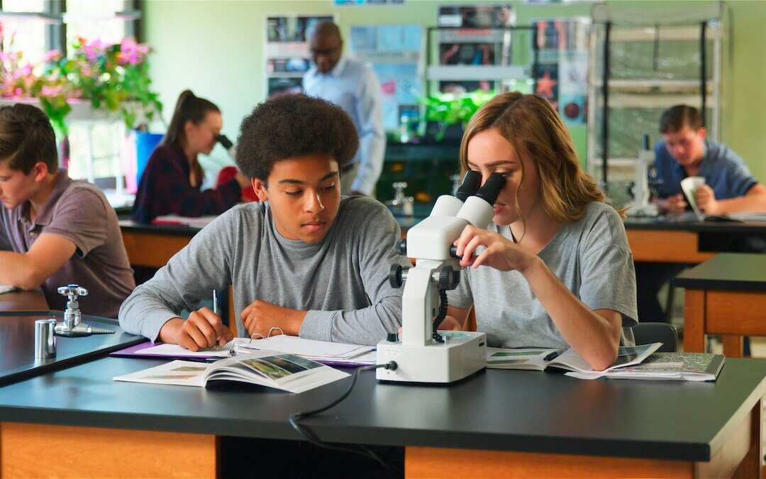 stand out as a premed student