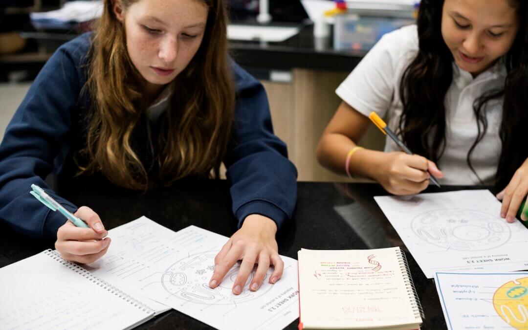 students develop executive functioning skills