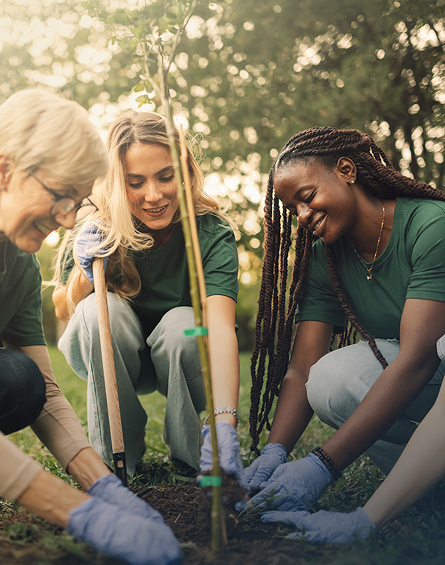 volunteers-planting-tree